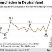 Den Wäldern geht es so schlecht wie noch nie