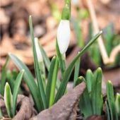 Köpfchen Richtung Sonne