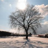 Kolbermoor – ein Wintermärchen