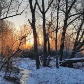 Impressionen abseits von Pösling