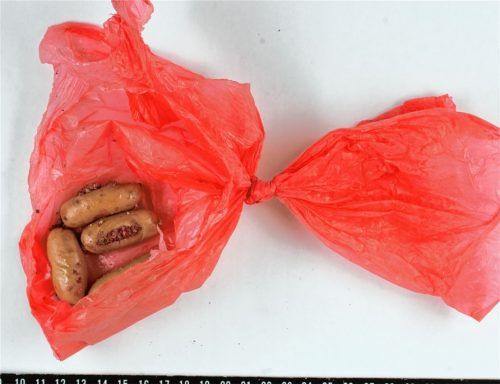 Immer wieder sorgen heimtückische Giftköder (Bild), die Haustieren schaden sollen, für Schlagzeilen. Foto Archiv dpa