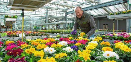 Philipp Rother und seine Blumen warten in Prien auf Kundschaft. Foto Berger