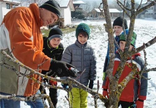 Thomas Kogler (links) vom Obst- und Gartenbauverein zeigt, wie man einen Obstbaum schneidet. Wegen Corona kann der Kurs heuer nicht stattfinden. Foto Archiv/Steffenhagen