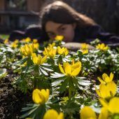 Darum macht der Frühling glücklich