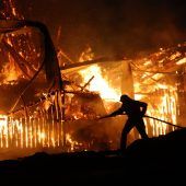 50 Rinder sterben bei Brand