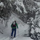 Weiße Winter werden weniger