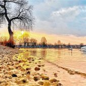 Mein lieber Schwan: Das lange Warten auf den Frühling