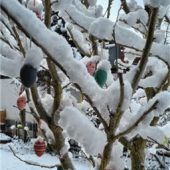 Ostereier von Schnee bedeckt