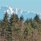 Oben Winter, unten Frühling
