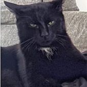 Freddy ist weg