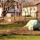 Plastik bei Fütterung erneut angezeigt