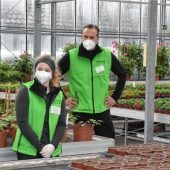 Geranienableger und Töpfe voller Erde