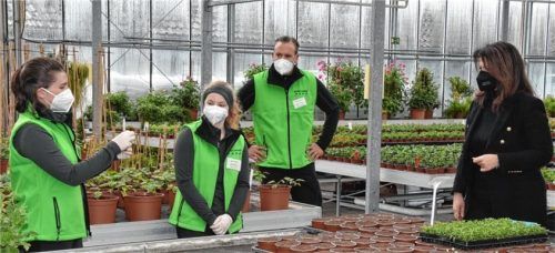 Auszubildende Eva Sanftl (links) zeigt Landwirtschaftsministerin Michaela Kaniber (rechts) ein Stück einer Geranie, das sie von der Pflanze abgeschnitten hat. Kollegin Agnes Huber und Chef Christian Prentl sehen zu. Foto Schlecker