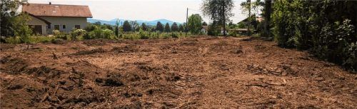 Bereits 2019/2020 sind die notwendigen Rodungen für den Bauabschnitt 6 erfolgt. Foto Wasserwirtschaftsamt