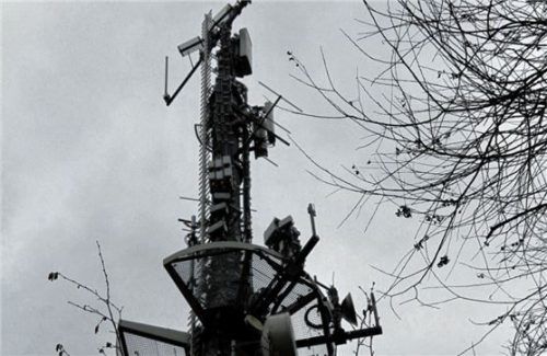 Einen Schleuderbetonmast mit Stahlaufsatz will die Gemeinde Oberaudorf in der sensiblen Kirnsteiner Au auf keinen Fall haben. Foto Schmidt