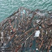 Mehr Schutz für das Lebenselexier