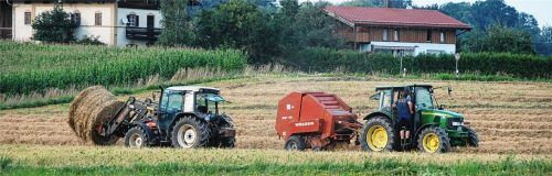 Ländliche Idylle: bei der Heuernte.Foto ps