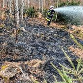 Brand im Keferwald: Ursache unklar