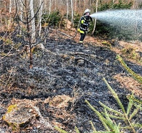 Nach dem Ablöschen der Flammen wässerte die Feuerwehr die gesamte Fläche mit reinem Löschwasser tief ein, um zu verhindern, dass sich tiefer im Erdboden gelegene Glutnester zu einem späteren Zeitpunkt nochmals entzünden.Foto Feuerwehr Rosenheim