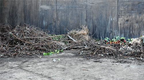 Rosenheims Gartenbesitzer könnten ihren Grünabfall ab dem kommenden Jahr zumindest im Frühling selbst wegbringen müssen, zum Beispiel auf den Wertstoffhof auf der Innlände. Foto Schlecker