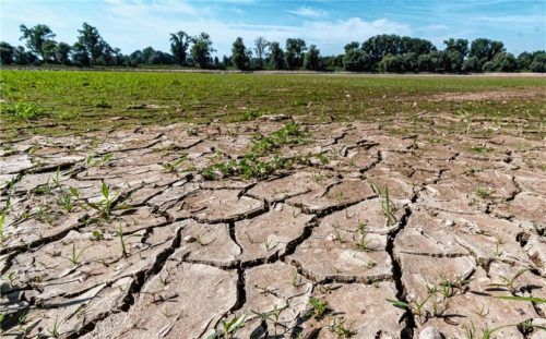 Trockene Böden durch Sommerhitze: Die Stadt Rosenheim hat den Auftrag für ein Klimakonzept ausgeschrieben, um den Folgen der Erderwärmung begegnen zu können. Foto DPA