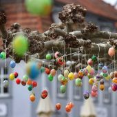 Wenn der Storch die Eier bringt