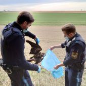 Kinderwunsch-Hilfen gut angenommen Verstärkter Einsatz gegen Vogel-Wilderei