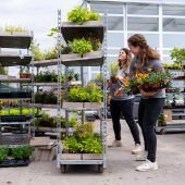 Landesgartenschau öffnet ohne Besucher
