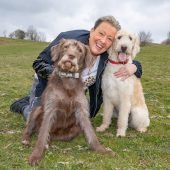 Corona bringt die Bayern auf den Hund