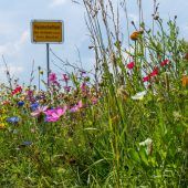 Biotope: Bayern muss nachlegen