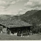 Ein altes Haus zieht um