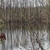 Tonwerkweiher als Spiegel
