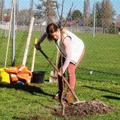 „O‘pflanzt is“: Apfelbaum gespendet