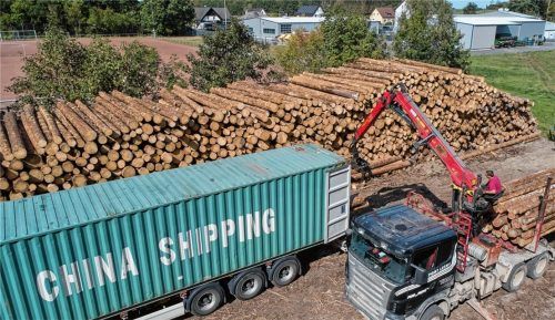 Auf dem Weltmarkt ist europäisches Holz ein sehr gefragtes Gut, das auch nach China und in die USA exportiert wird. Foto dpa