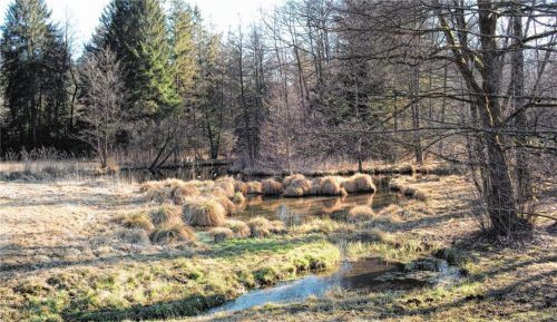 Aufgrund der geplanten Erdgasbohrungen durch die Firma Wintershall Dea befürchten die Gegner des Projekts negative Auswirkungen auf die umliegende Natur und Landschaft, wie hier auf die wenige Kilometer entfernten Urschlachquellen zwischen den Halfinger Ortsteilen Irlach und Mühldorf. Foto Alois Aicher