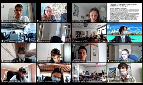 Aus sieben Alpenregionen trafen sich die Teilnehmer zur Online-Konferenz.Schroeder