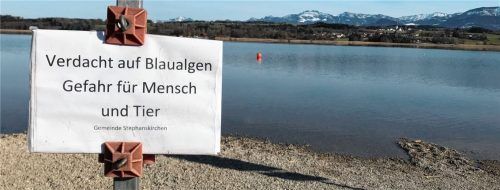 Der Verdacht auf Blaualgen im Simsseewasser, den die Gemeinde Stephanskirchen hier auf einem Schild in der Badebucht von Baierbach beschreibt, hat sich bestätigt. Foto Schöne