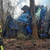 Mit dem Lkw frontal gegen Baum gefahren