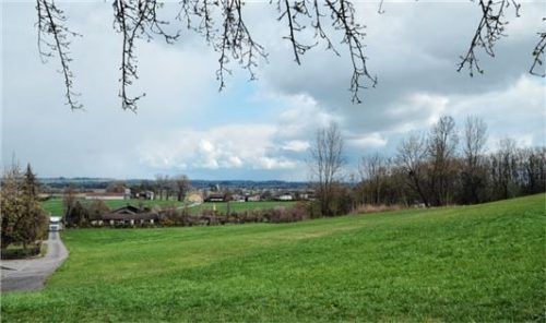 Die violette Trasse würde die Gemeinde Schechen durchschneiden, hier der Blick auf Pfaffenhofen.