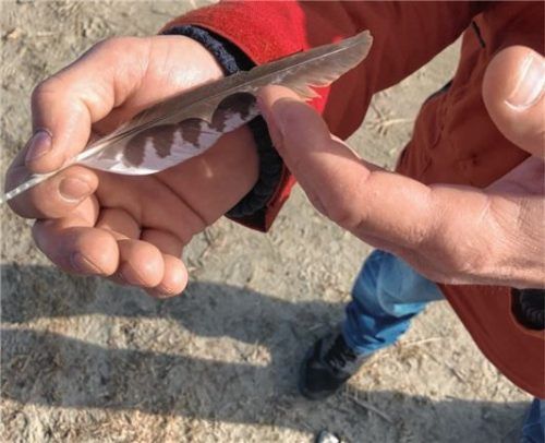 Eine Feder mit Geschichte: Der Überlebenstrainer versteht die Natur um sich herum zu lesen.