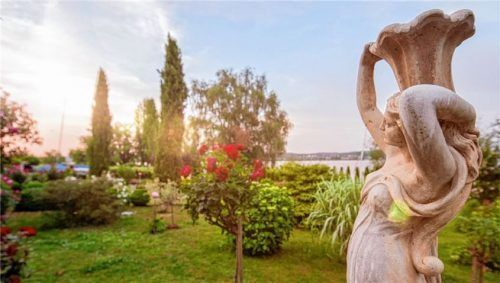 Familie Böhler hat einen Rückzugsort direkt am Seeufer geschaffen mit zahlreichen Rosenarten, Lavendel und Hortensien. Foto REGIO/Helmut Fidler