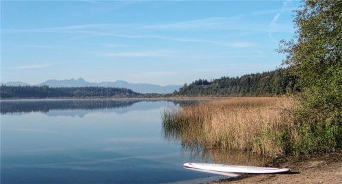 Sind der Hofstätter See, der auf dem Bild zu sehen ist, und das angrenzende Burger Moos aufgrund der geplanten Brenner-Nordzulauf-Trasse in Gefahr? Das befürchtet zumindest die Schutzgemeinschaft Hofstätter- und Rinser See. Foto Schlecker