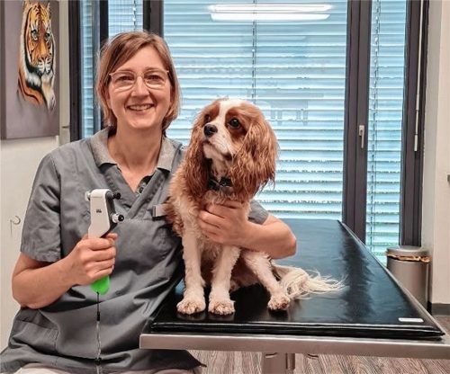 Tierärztin Dr. Tanja Frey aus Rosenheim mit Hund Bruno im Behandlungszimmer ihrer Praxis. Foto Tierarztpraxis Frey