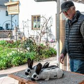 Mit Schlappohren zum Erfolg