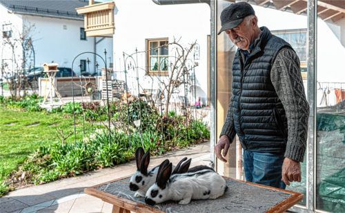 Willi Maier könnte sich ein Leben ohne seine Kaninchen nur schwer vorstellen. Seit etlichen Jahren züchtet der 69-Jährige die Deutschen Riesenschecken. Fotos Thomae