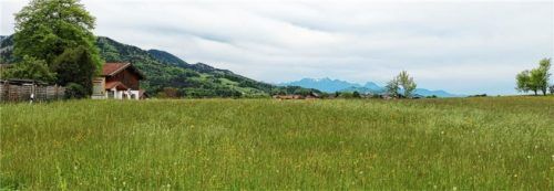 Auf dieser Wiese könnte der neue Parkplatz für die Gaststätte „Goldener Pflug“ und den Ort Umrathshausen entstehen.Foto Rehberg