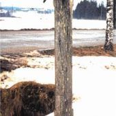 Nach zehn Jahren ist die Renovierung beendet