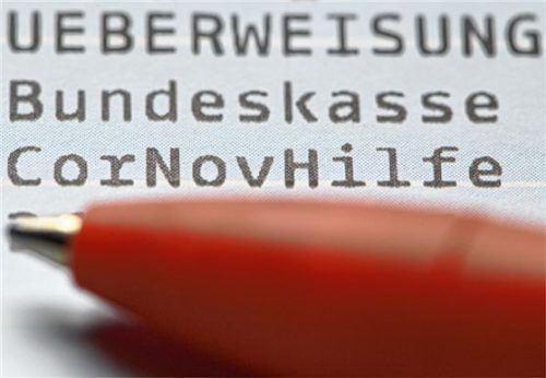 Die 9000 Euro, die ein 43-Jähriger unrechtmäßig erhalten hatte, muss er komplett zurückzahlen. Zudem muss er noch eine Geldstrafe in Höhe von 1000 Euro begleichen. Foto dpa