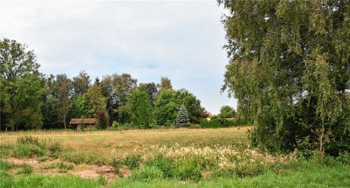 Die Filzengebiete in der Gemeinde sind Schatztruhen in Sachen Artenvielfalt, Heimat vieler gefährdeter Tier- und Pflanzenarten. Foto Schlecker