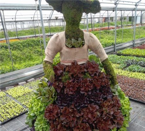 Ein Kunstwerk aus Salaten unterschiedlichster Sorten ziert die Figur einer Frau. Foto Re